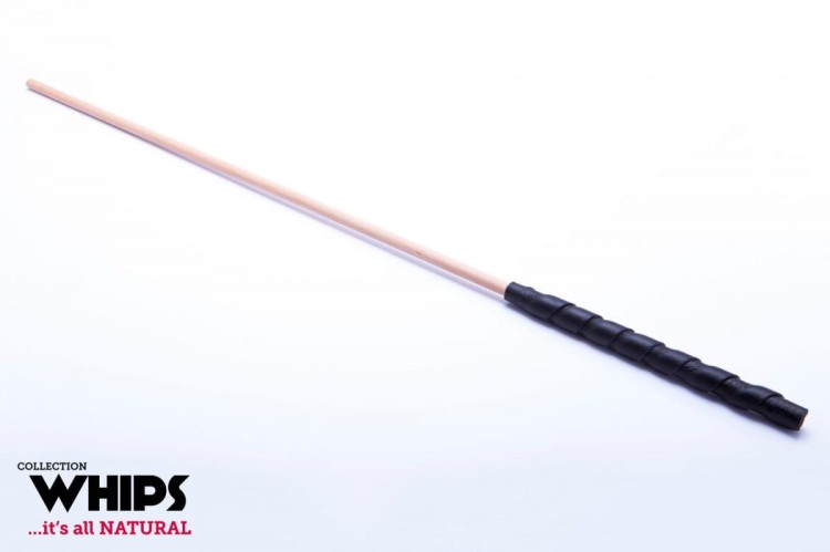 Szpicruta Trzcina bukowa 60 cm