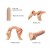 Silikonowe dildo z ruchomą skórą 15 cm-3