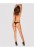 Bellastia stringi  M/L