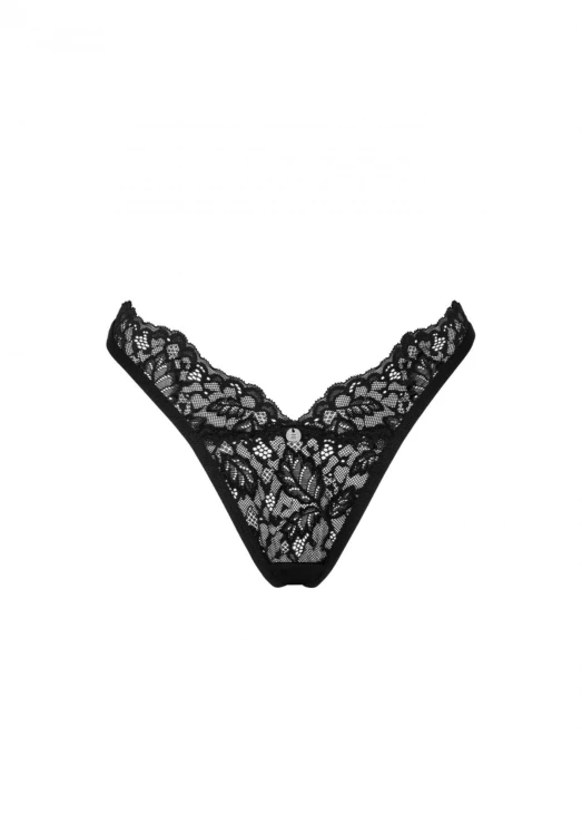 Bellastia stringi  M/L