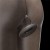 Flawless Clear Anal Plug 4.5''