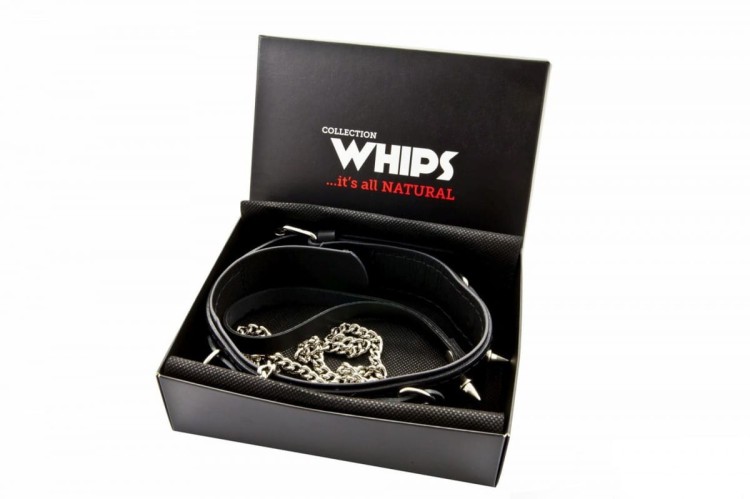 WHIPS obroża męska z ćwiekami i smyczą-3