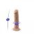 Sztuczny penis Real Skin Model 2-3