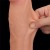 Wielki rozmiar Penis z ruchomą skórą 29/5,4 cm-5
