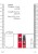 Original CBD from Amsterdam Delay Spray 15 ml-2
