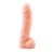 Penis z jądrami Grubość 3,7 cm Długość 17,7 cm-1