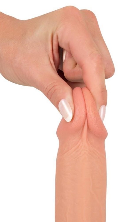 Średni penis na przyssawce 14,5 x 3,9 cm-2