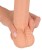 Średni penis na przyssawce 14,5 x 3,9 cm-3