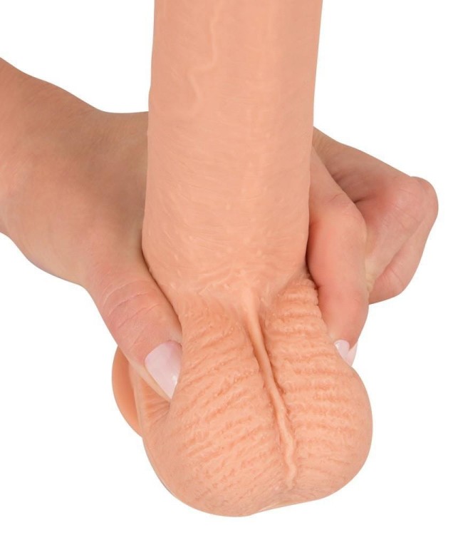 Średni penis na przyssawce 14,5 x 3,9 cm-3