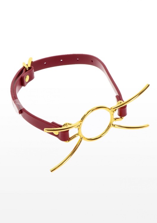 Złoty metalowy knebel do ust Ring oralny-1