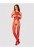 Bodystocking N122  S/M/L